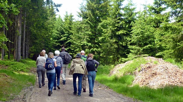 Ausflug zum Hohen Stein und zu den Bisons 31.5.2015