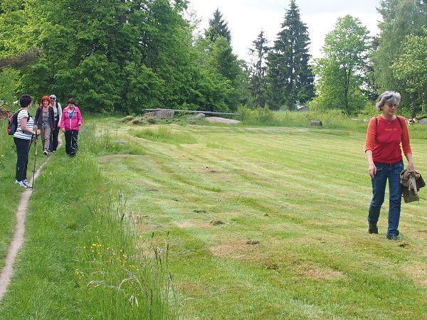 Ausflug zum Hohen Stein und zu den Bisons 31.5.2015