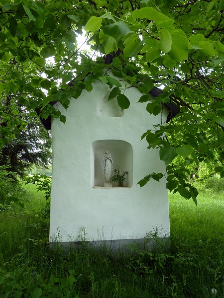 Ausflug zum Hohen Stein und zu den Bisons 31.5.2015