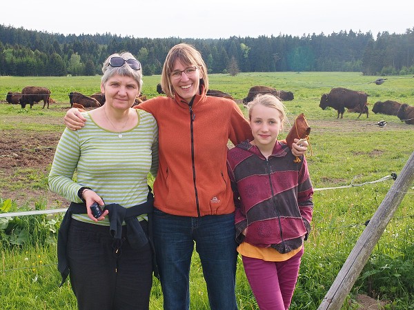 Ausflug zum Hohen Stein und zu den Bisons 31.5.2015