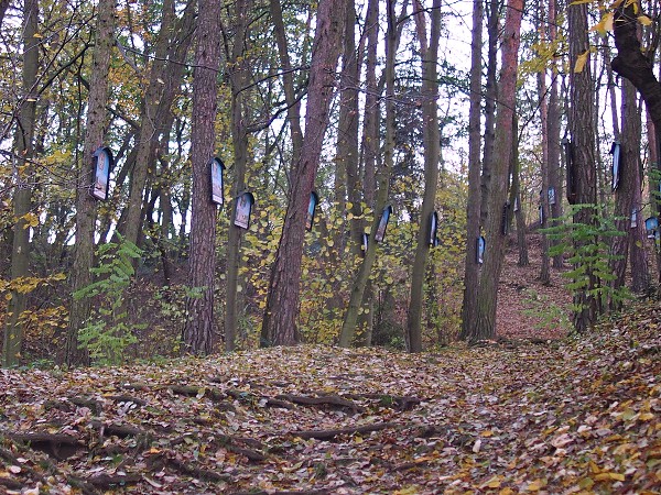Lapikus 31.10.2015