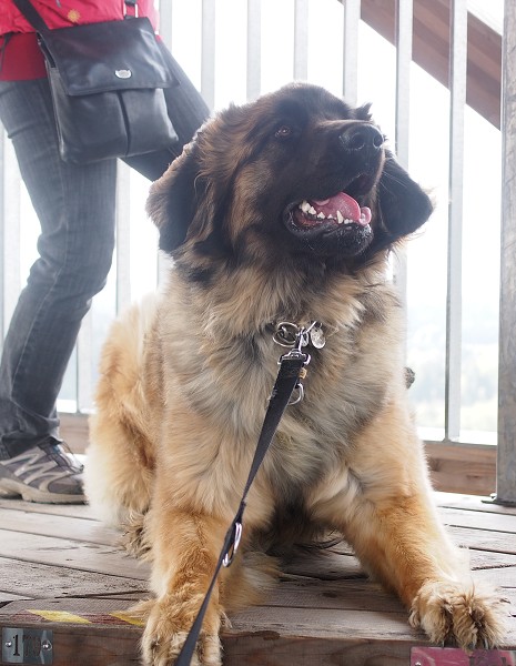 Osterwanderung2014