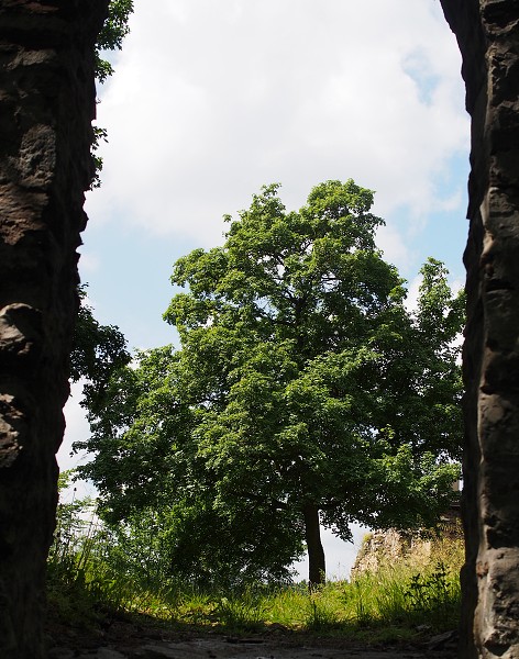 Zornstein 25.5.2014